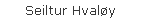 Seiltur Hvaly